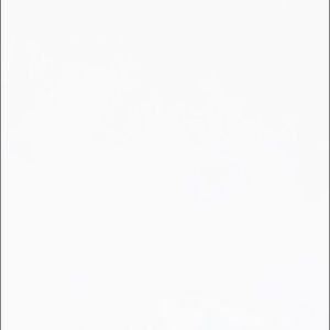 Meet your Posher, Laney